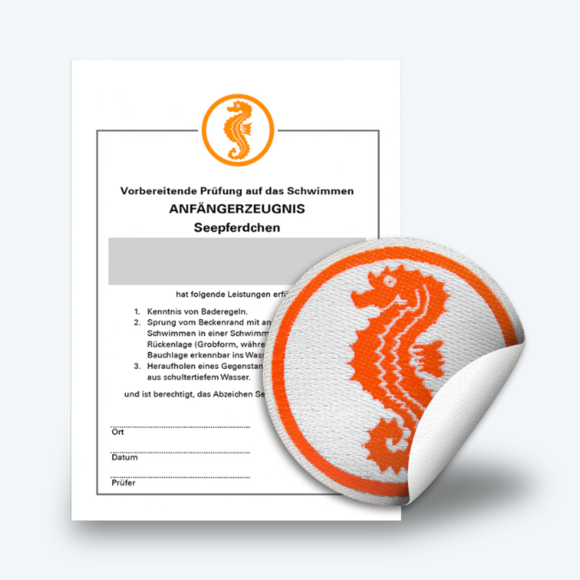 seepferdchen abzeichen set mit urkunde