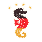 Skin Tattoo Seahorse Black - Red - Gold with Stars